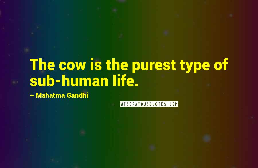 Mahatma Gandhi Quotes: The cow is the purest type of sub-human life.