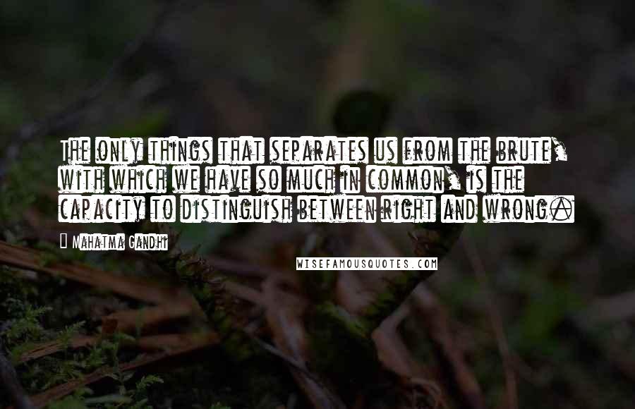 Mahatma Gandhi Quotes: The only things that separates us from the brute, with which we have so much in common, is the capacity to distinguish between right and wrong.