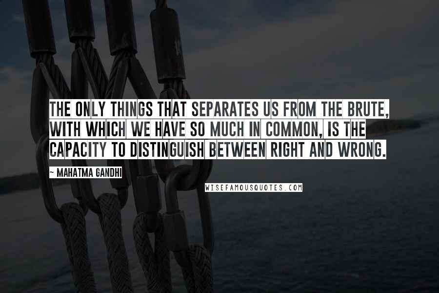 Mahatma Gandhi Quotes: The only things that separates us from the brute, with which we have so much in common, is the capacity to distinguish between right and wrong.