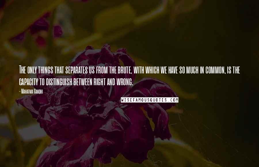 Mahatma Gandhi Quotes: The only things that separates us from the brute, with which we have so much in common, is the capacity to distinguish between right and wrong.