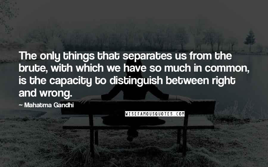 Mahatma Gandhi Quotes: The only things that separates us from the brute, with which we have so much in common, is the capacity to distinguish between right and wrong.