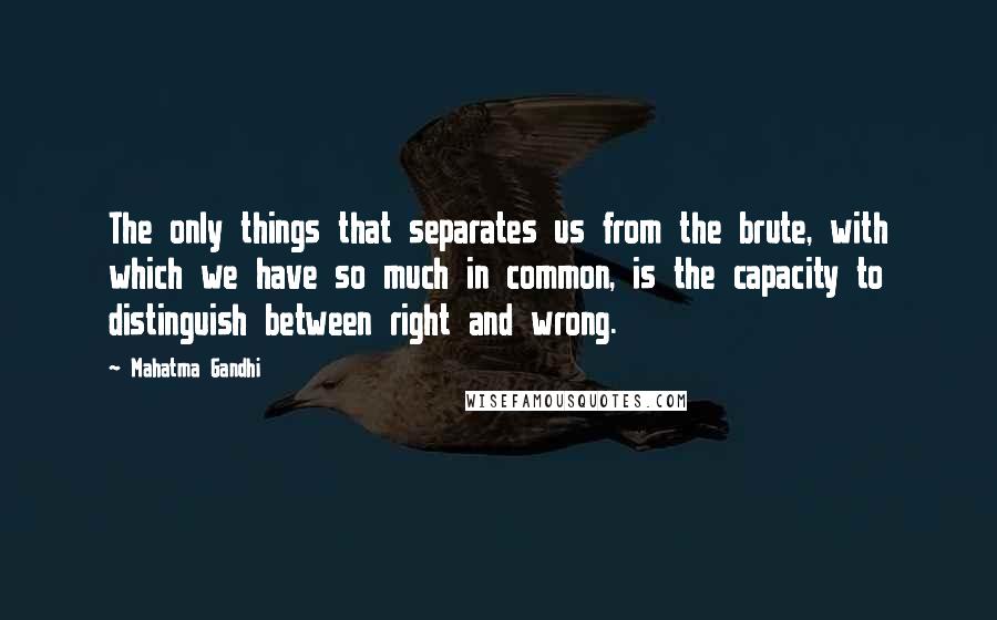 Mahatma Gandhi Quotes: The only things that separates us from the brute, with which we have so much in common, is the capacity to distinguish between right and wrong.