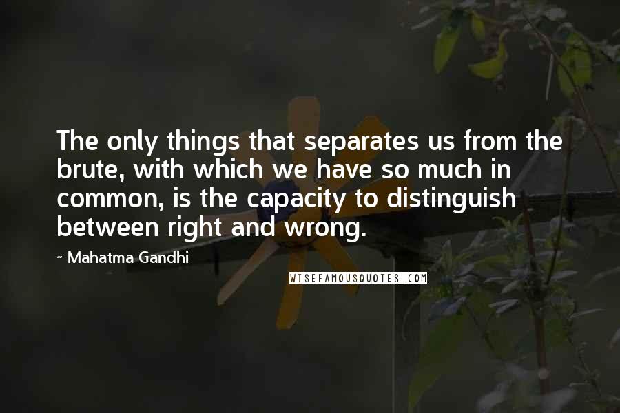 Mahatma Gandhi Quotes: The only things that separates us from the brute, with which we have so much in common, is the capacity to distinguish between right and wrong.