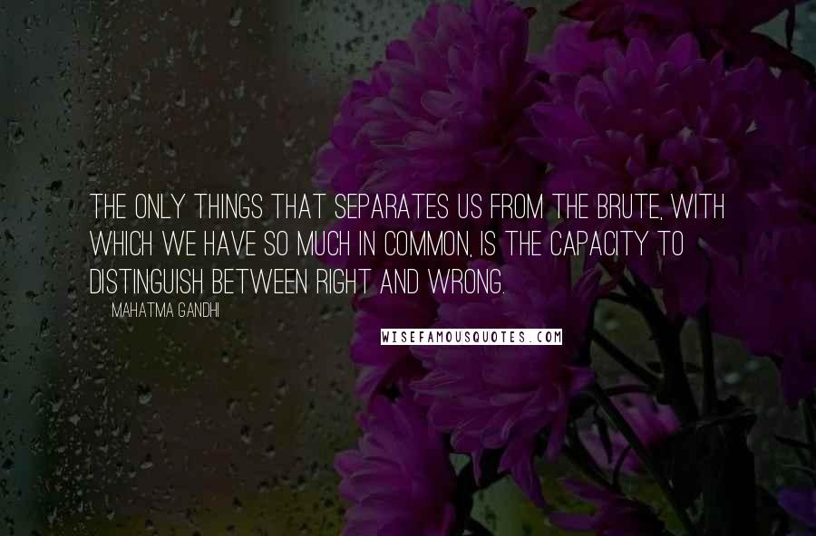 Mahatma Gandhi Quotes: The only things that separates us from the brute, with which we have so much in common, is the capacity to distinguish between right and wrong.