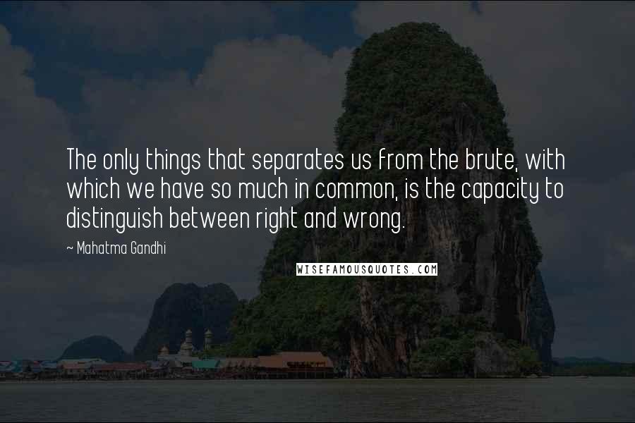 Mahatma Gandhi Quotes: The only things that separates us from the brute, with which we have so much in common, is the capacity to distinguish between right and wrong.