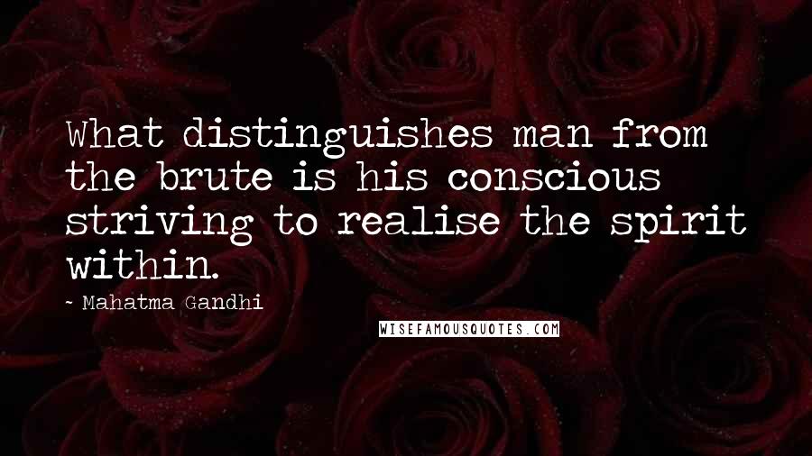 Mahatma Gandhi Quotes: What distinguishes man from the brute is his conscious striving to realise the spirit within.