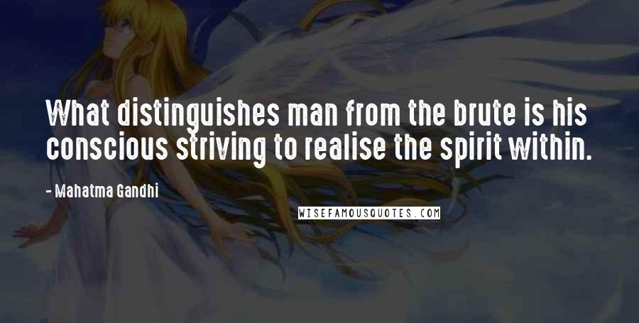 Mahatma Gandhi Quotes: What distinguishes man from the brute is his conscious striving to realise the spirit within.