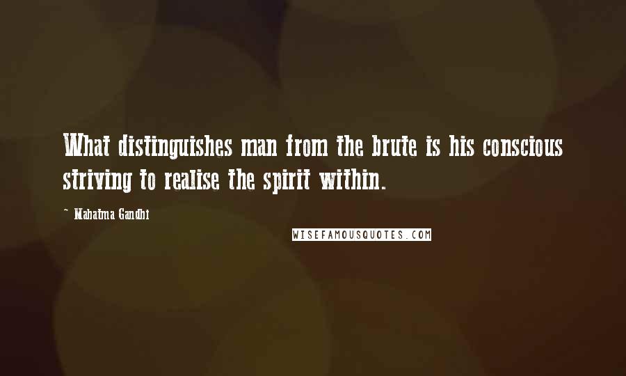 Mahatma Gandhi Quotes: What distinguishes man from the brute is his conscious striving to realise the spirit within.