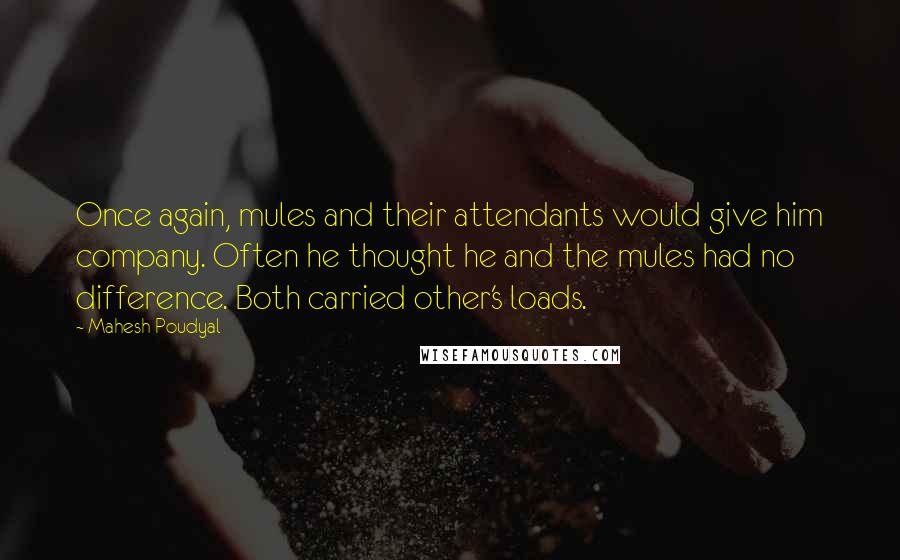 Mahesh Poudyal Quotes: Once again, mules and their attendants would give him company. Often he thought he and the mules had no difference. Both carried other's loads.