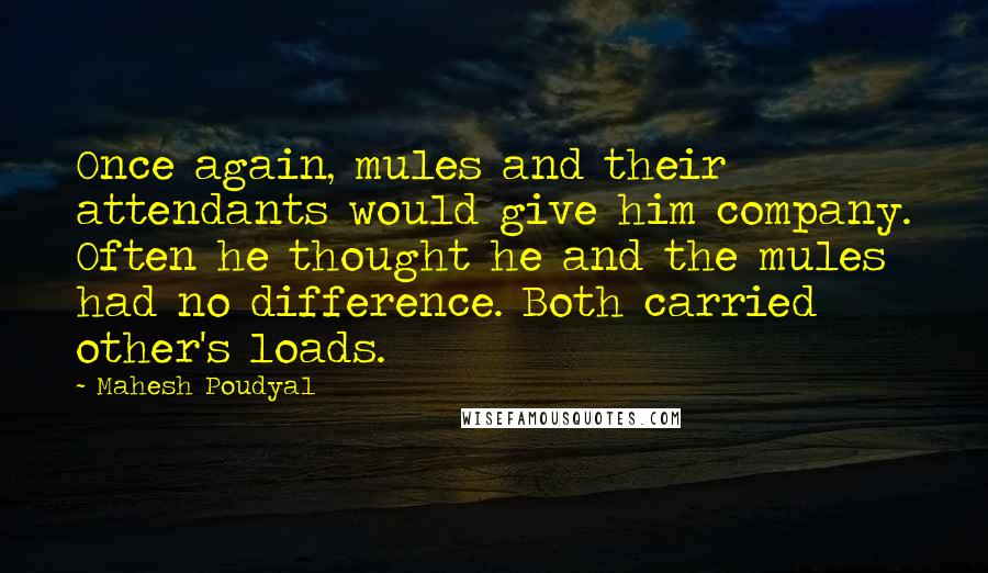 Mahesh Poudyal Quotes: Once again, mules and their attendants would give him company. Often he thought he and the mules had no difference. Both carried other's loads.