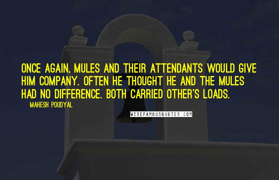 Mahesh Poudyal Quotes: Once again, mules and their attendants would give him company. Often he thought he and the mules had no difference. Both carried other's loads.