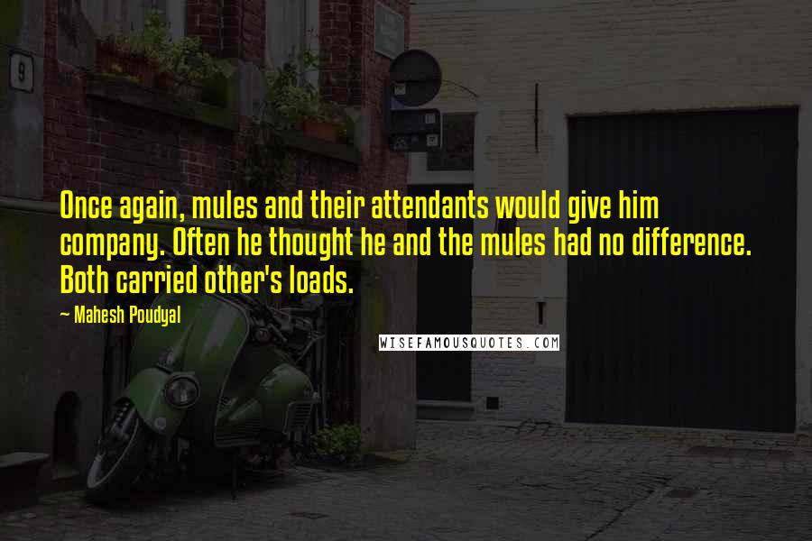 Mahesh Poudyal Quotes: Once again, mules and their attendants would give him company. Often he thought he and the mules had no difference. Both carried other's loads.