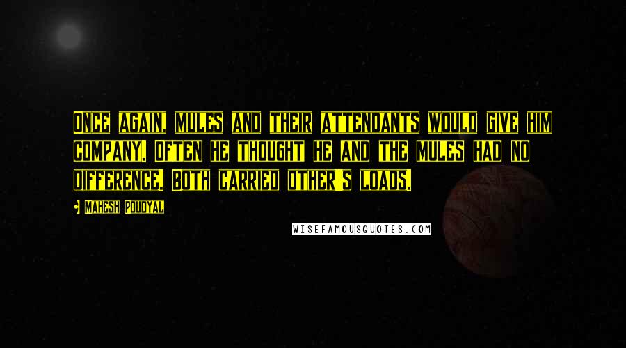 Mahesh Poudyal Quotes: Once again, mules and their attendants would give him company. Often he thought he and the mules had no difference. Both carried other's loads.
