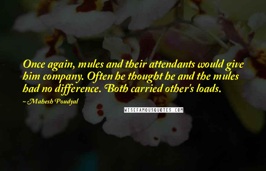 Mahesh Poudyal Quotes: Once again, mules and their attendants would give him company. Often he thought he and the mules had no difference. Both carried other's loads.