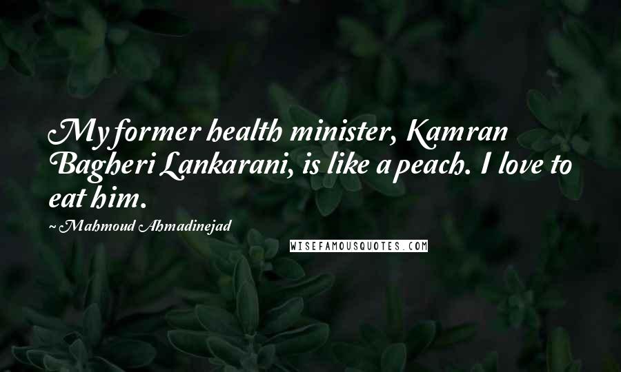 Mahmoud Ahmadinejad Quotes: My former health minister, Kamran Bagheri Lankarani, is like a peach. I love to eat him.