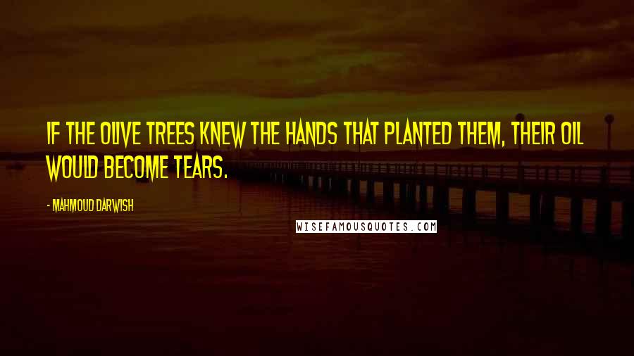 Mahmoud Darwish Quotes: If the Olive Trees knew the hands that planted them, Their Oil would become Tears.