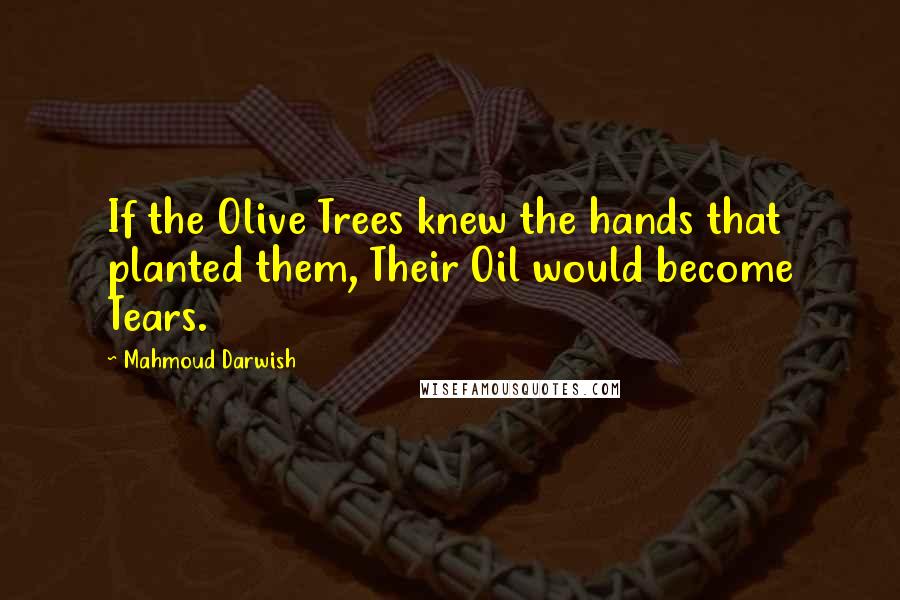 Mahmoud Darwish Quotes: If the Olive Trees knew the hands that planted them, Their Oil would become Tears.