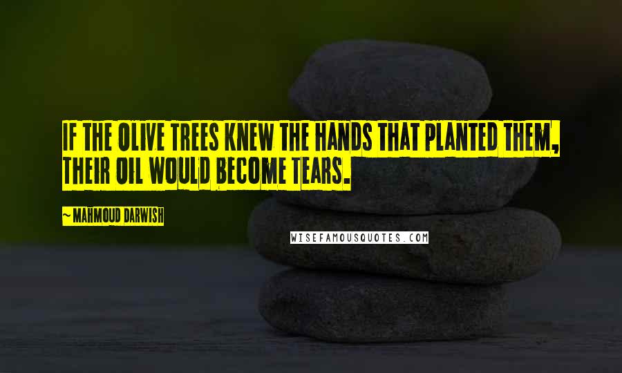 Mahmoud Darwish Quotes: If the Olive Trees knew the hands that planted them, Their Oil would become Tears.