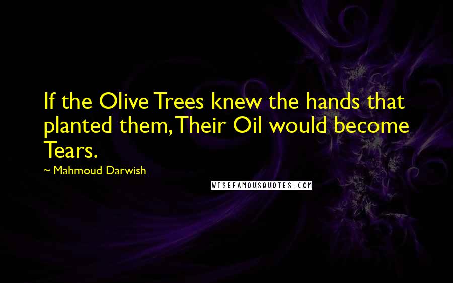 Mahmoud Darwish Quotes: If the Olive Trees knew the hands that planted them, Their Oil would become Tears.