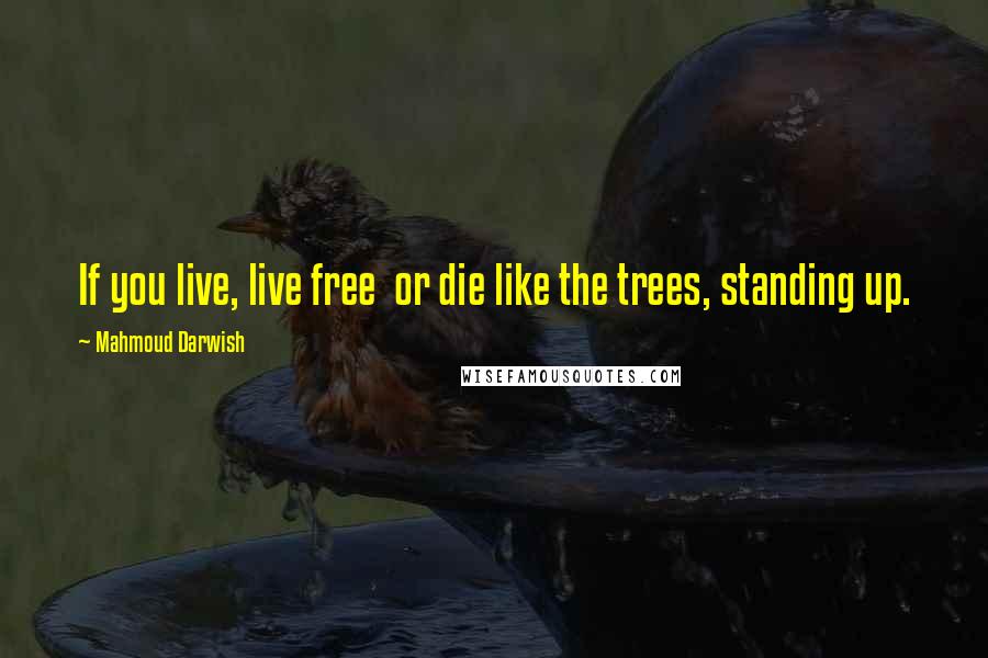 Mahmoud Darwish Quotes: If you live, live free  or die like the trees, standing up.