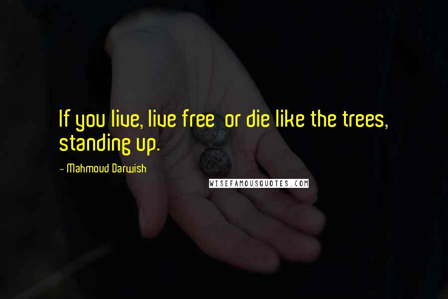 Mahmoud Darwish Quotes: If you live, live free  or die like the trees, standing up.