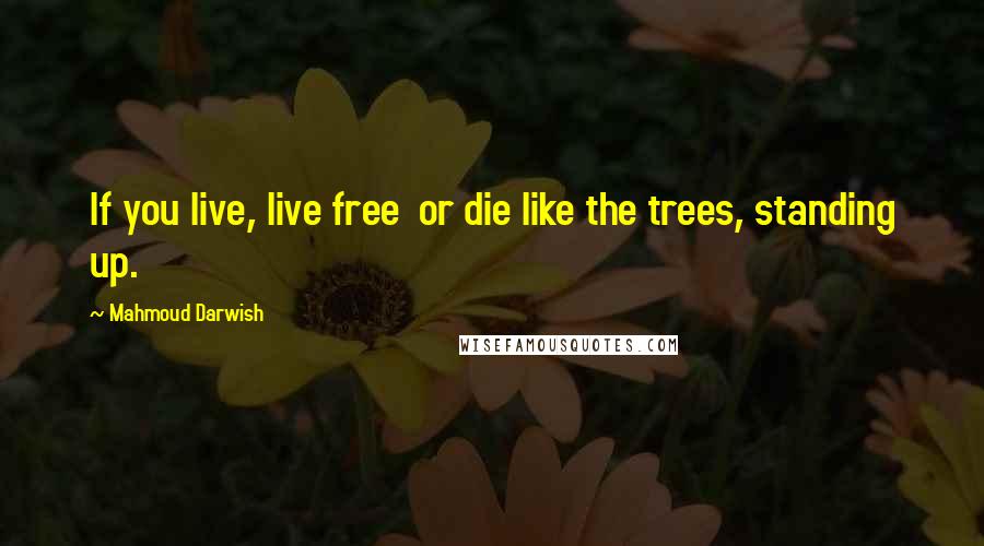 Mahmoud Darwish Quotes: If you live, live free  or die like the trees, standing up.