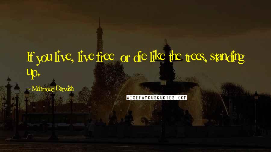 Mahmoud Darwish Quotes: If you live, live free  or die like the trees, standing up.