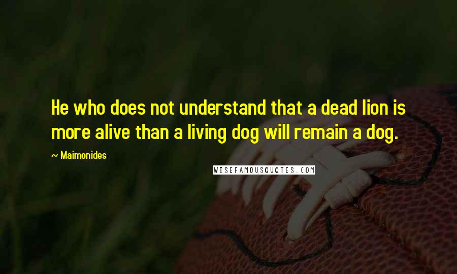 Maimonides Quotes: He who does not understand that a dead lion is more alive than a living dog will remain a dog.