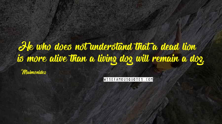 Maimonides Quotes: He who does not understand that a dead lion is more alive than a living dog will remain a dog.