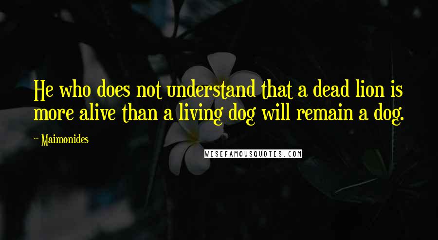 Maimonides Quotes: He who does not understand that a dead lion is more alive than a living dog will remain a dog.