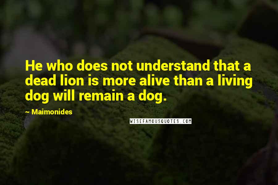 Maimonides Quotes: He who does not understand that a dead lion is more alive than a living dog will remain a dog.