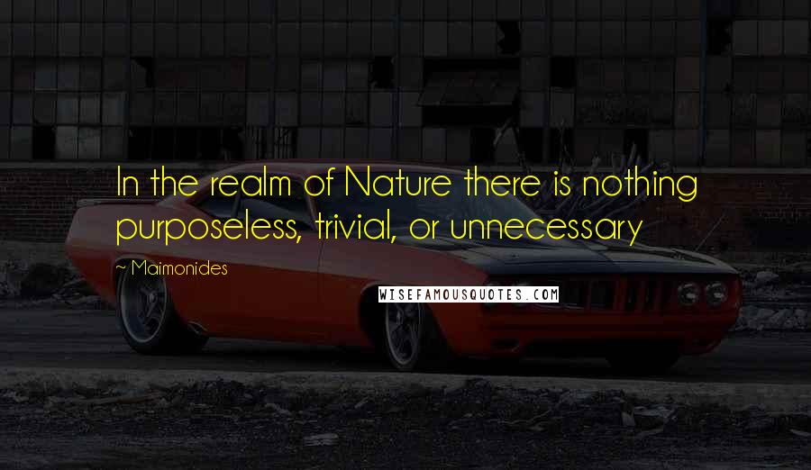 Maimonides Quotes: In the realm of Nature there is nothing purposeless, trivial, or unnecessary