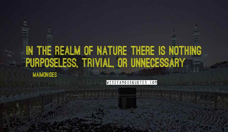 Maimonides Quotes: In the realm of Nature there is nothing purposeless, trivial, or unnecessary