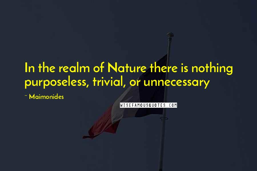 Maimonides Quotes: In the realm of Nature there is nothing purposeless, trivial, or unnecessary