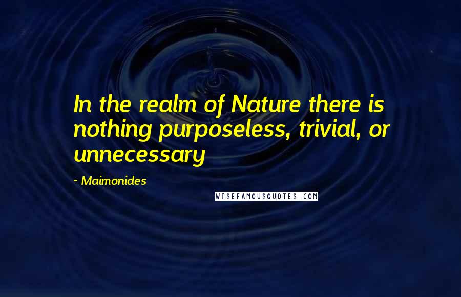 Maimonides Quotes: In the realm of Nature there is nothing purposeless, trivial, or unnecessary