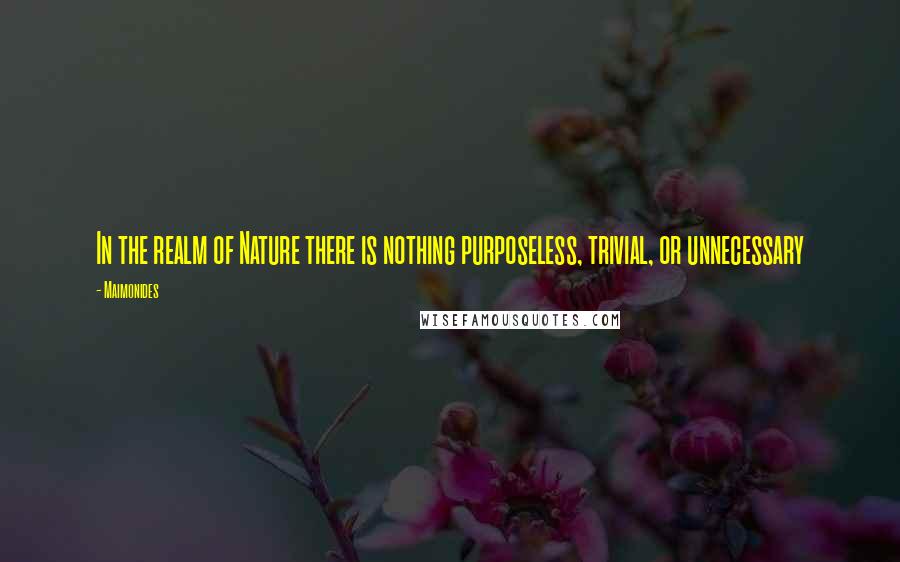 Maimonides Quotes: In the realm of Nature there is nothing purposeless, trivial, or unnecessary