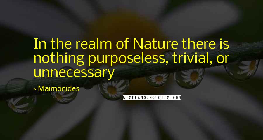 Maimonides Quotes: In the realm of Nature there is nothing purposeless, trivial, or unnecessary