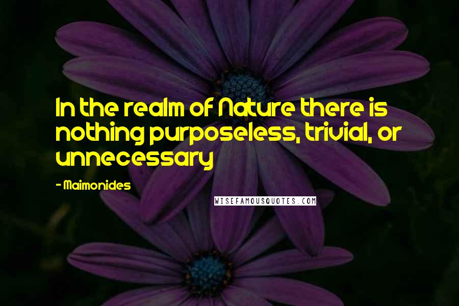 Maimonides Quotes: In the realm of Nature there is nothing purposeless, trivial, or unnecessary