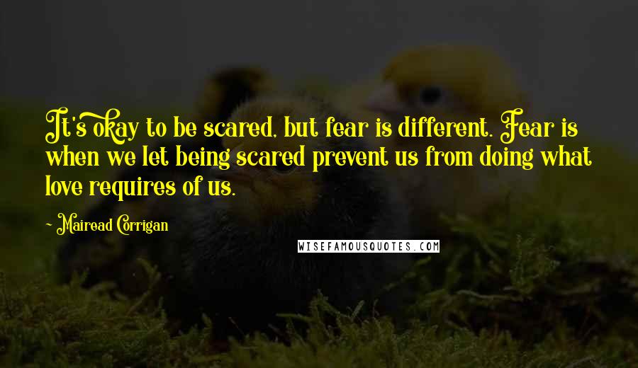 Mairead Corrigan Quotes: It's okay to be scared, but fear is different. Fear is when we let being scared prevent us from doing what love requires of us.