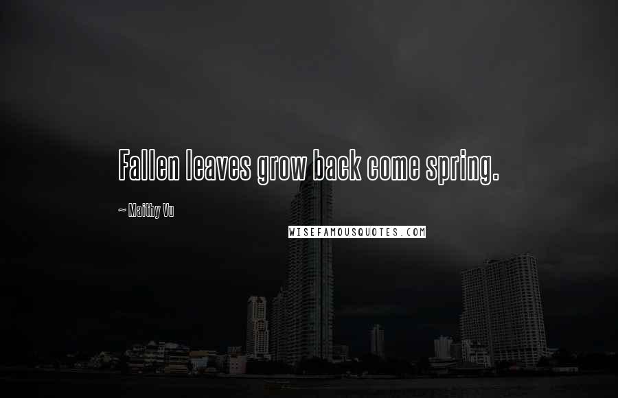 Maithy Vu Quotes: Fallen leaves grow back come spring.