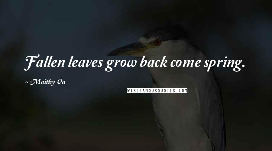 Maithy Vu Quotes: Fallen leaves grow back come spring.