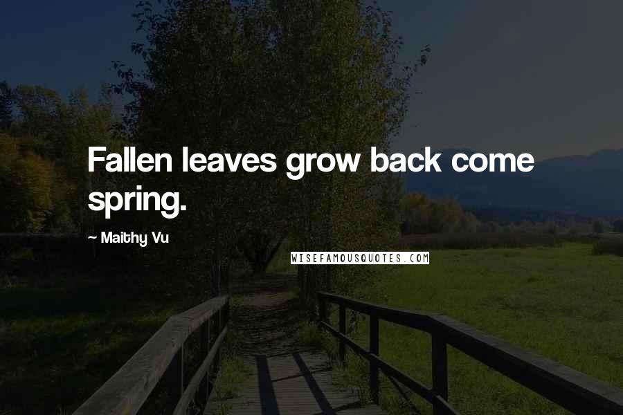 Maithy Vu Quotes: Fallen leaves grow back come spring.
