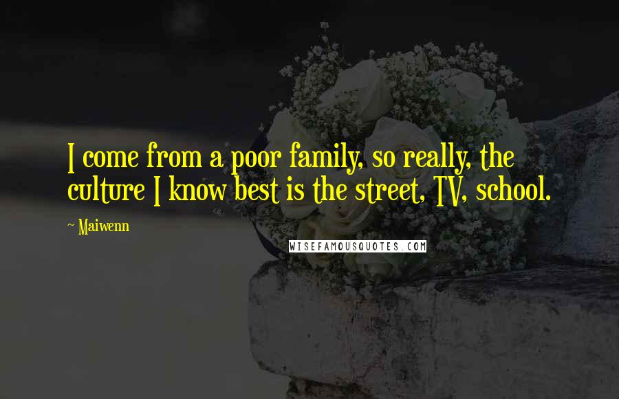 Maiwenn Quotes: I come from a poor family, so really, the culture I know best is the street, TV, school.