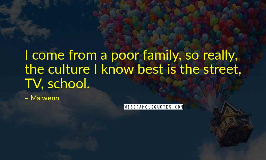 Maiwenn Quotes: I come from a poor family, so really, the culture I know best is the street, TV, school.