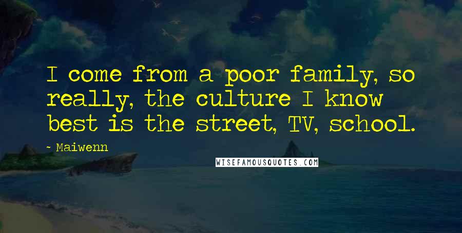 Maiwenn Quotes: I come from a poor family, so really, the culture I know best is the street, TV, school.