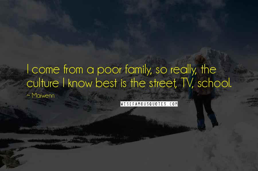 Maiwenn Quotes: I come from a poor family, so really, the culture I know best is the street, TV, school.
