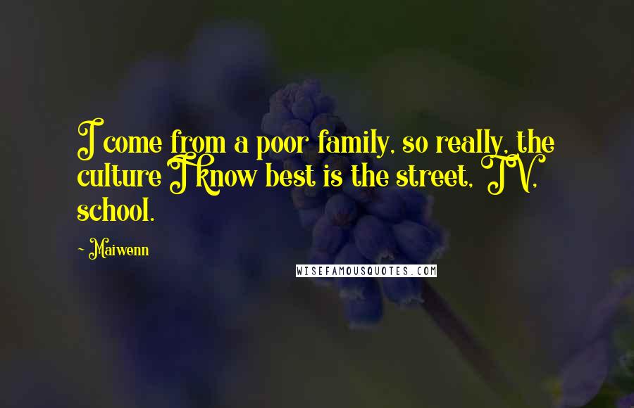 Maiwenn Quotes: I come from a poor family, so really, the culture I know best is the street, TV, school.