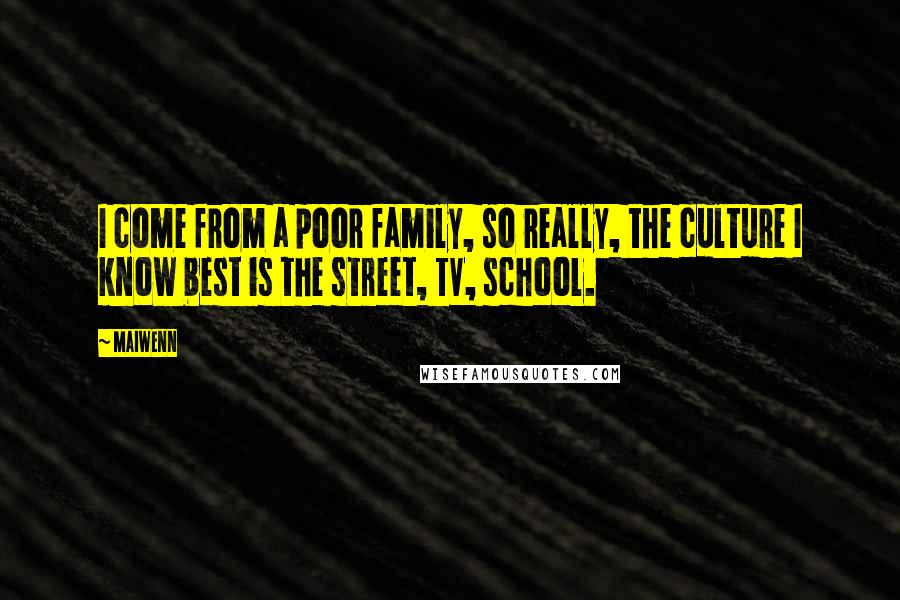 Maiwenn Quotes: I come from a poor family, so really, the culture I know best is the street, TV, school.