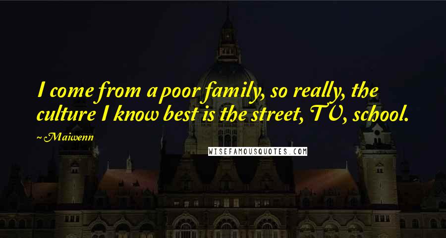 Maiwenn Quotes: I come from a poor family, so really, the culture I know best is the street, TV, school.