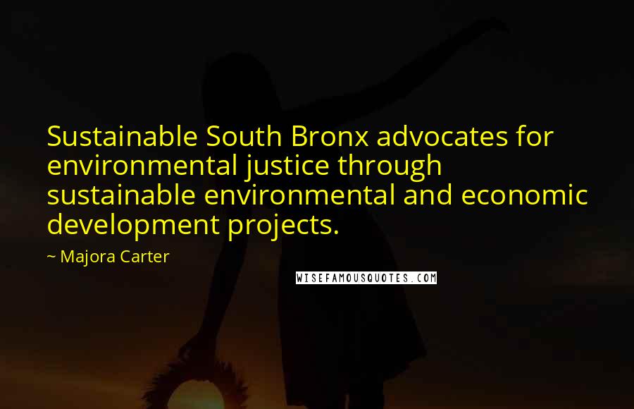 Majora Carter Quotes: Sustainable South Bronx advocates for environmental justice through sustainable environmental and economic development projects.